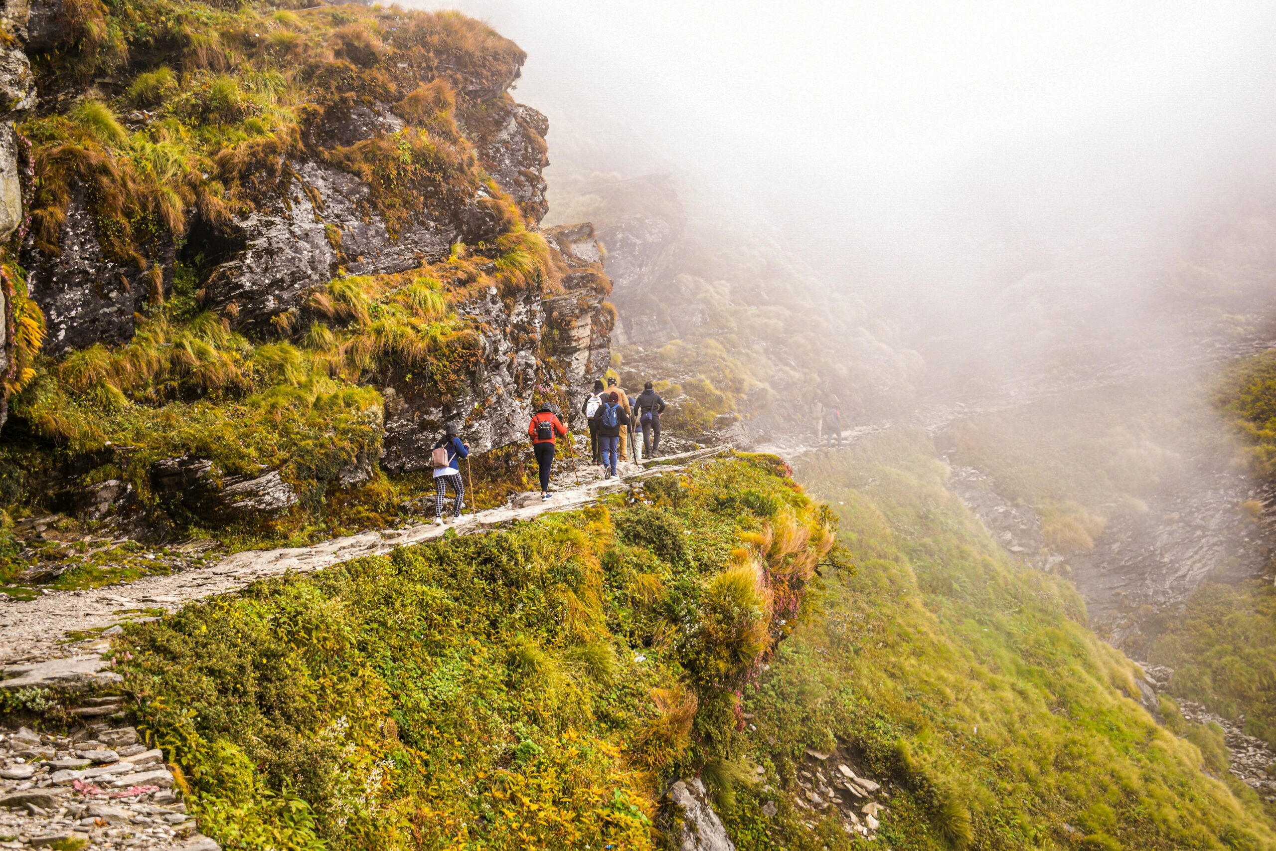 Group trekking along a foggy mountain path in Tungnath, Uttarakhand, India.